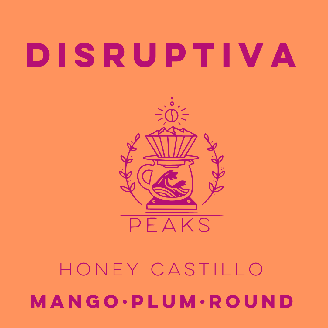 Disruptiva Honey Anaerobic Castillo - Peaks Series