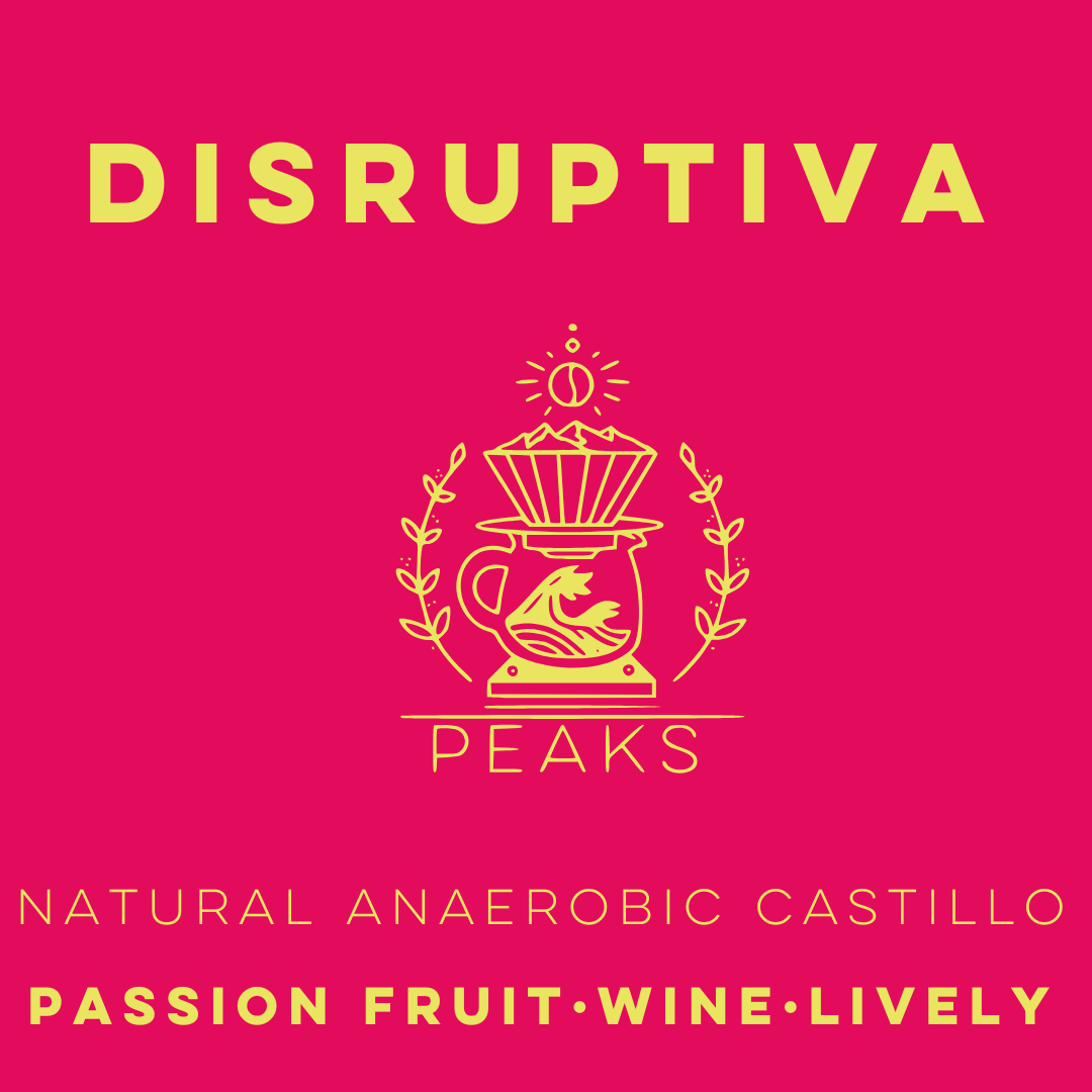 Disruptiva Elio's Natural Anaerobic Castillo - Peaks Series