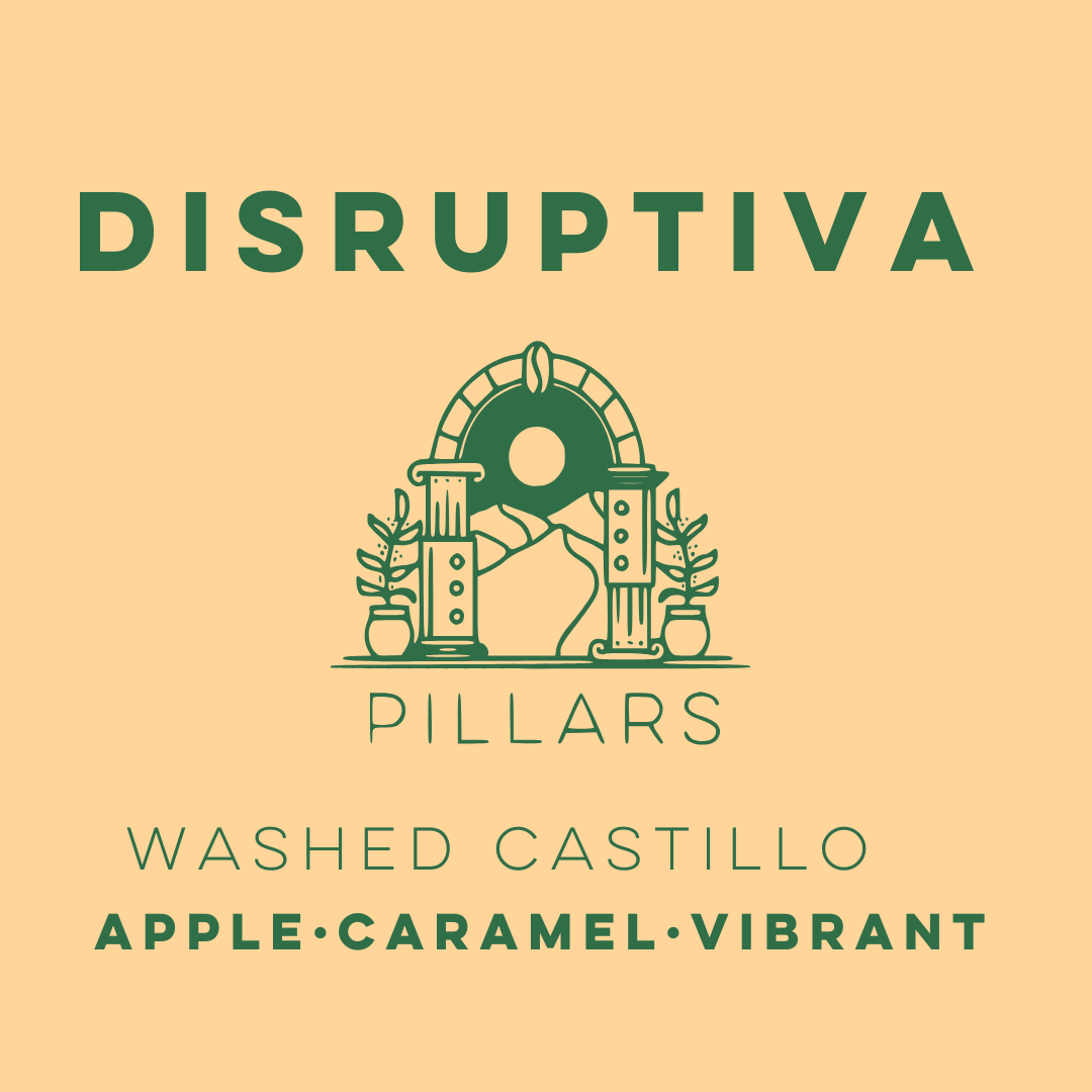 Disruptiva Cochadas - Pillars Series