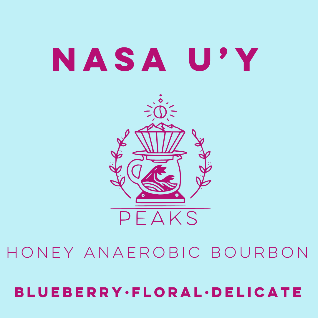 Finca Nasa U'Y Honey Anaerobic Yellow Bourbon - Peaks Series