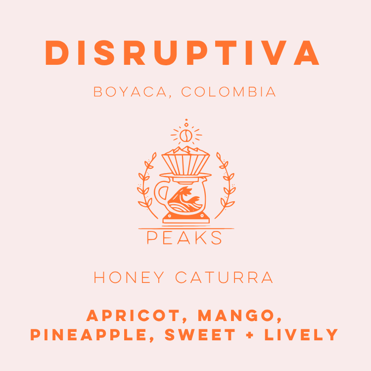 Disruptiva Honey Caturra - Peaks Series - Lulo Coffee