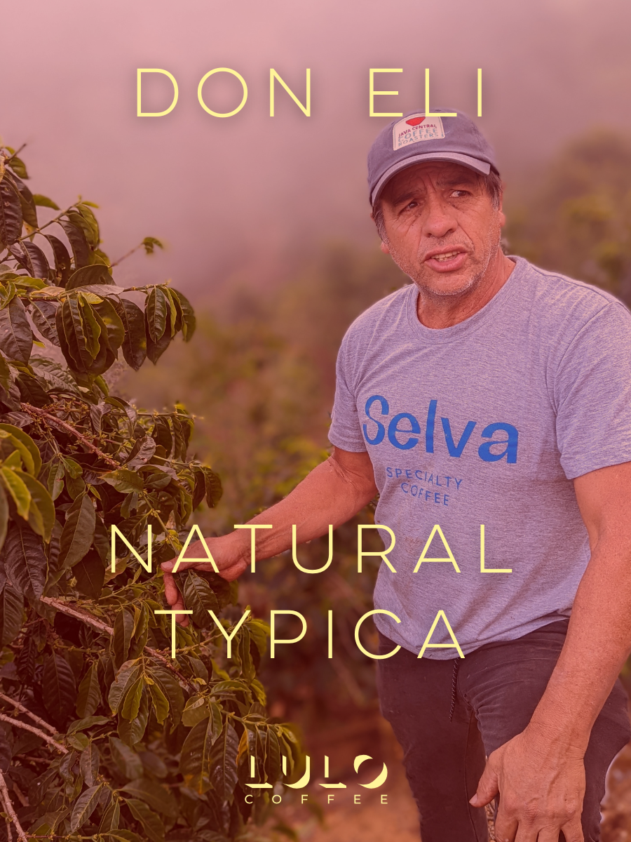 Don Eli Natural Typica - Peaks Series
