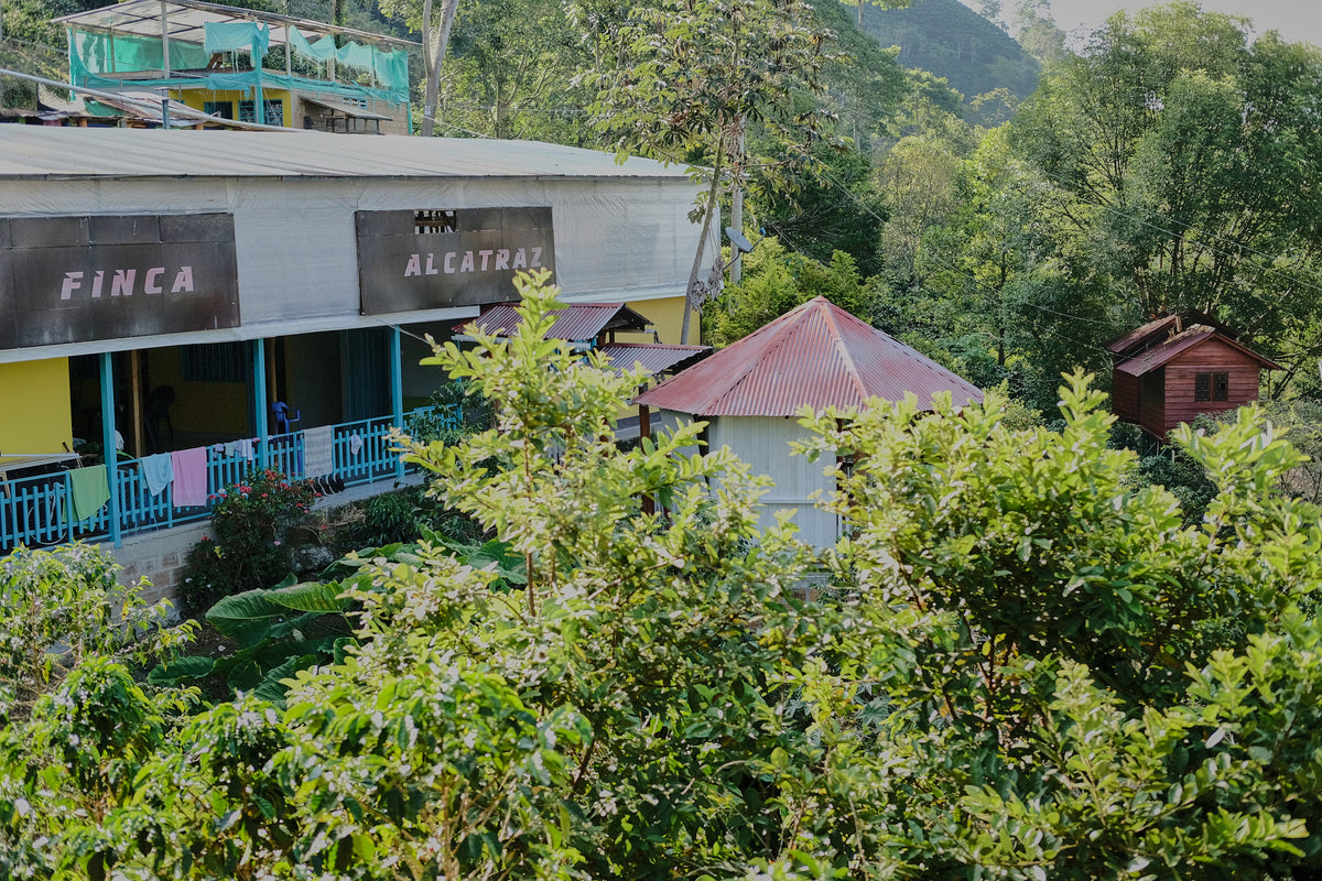 Finca Alcatraz