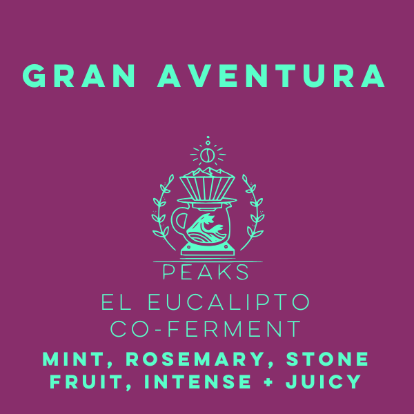 La Gran Aventura "El Eucalipto" Honey Eucalyptus Co-Ferment Castillo - Peaks Series
