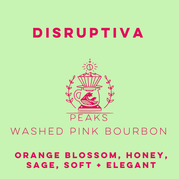 Disruptiva Washed Pink Bourbon - Peaks Series