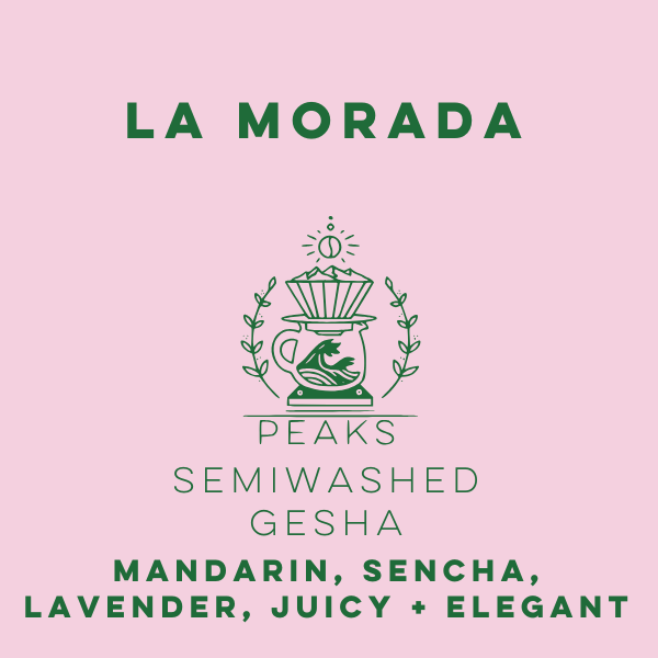 Finca La Morada Semiwashed Gesha - Peaks Series