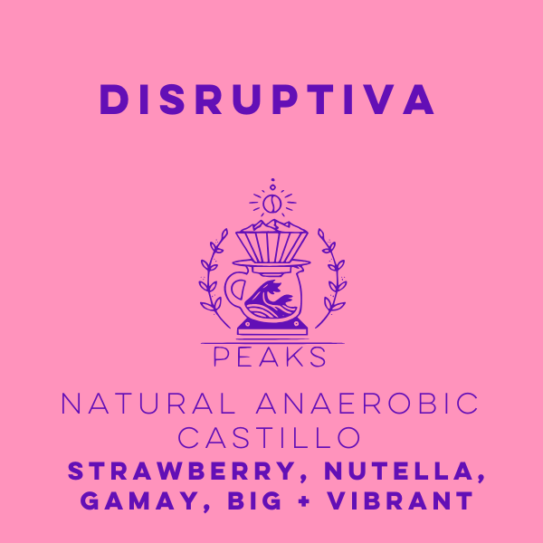 Disruptiva Natural Anaerobic Castillo - Peaks Series