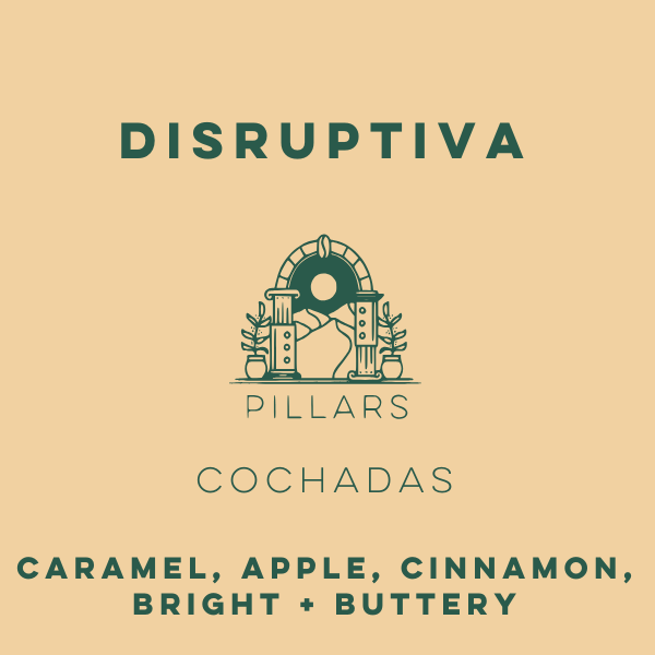 Disruptiva Cochadas - Pillars Series