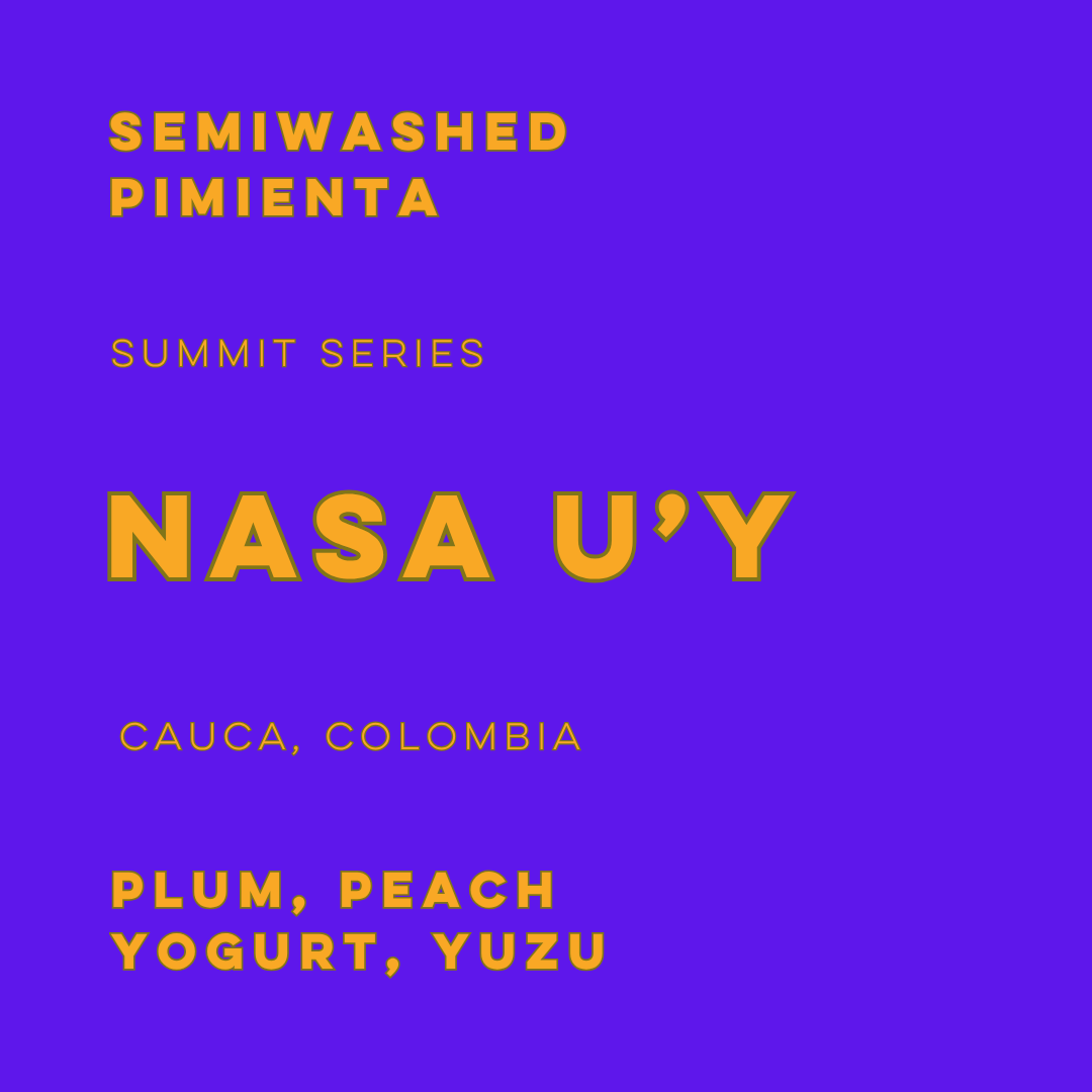 Nasa U'Y Semiwashed Pimienta - Summit Series - Lulo Coffee