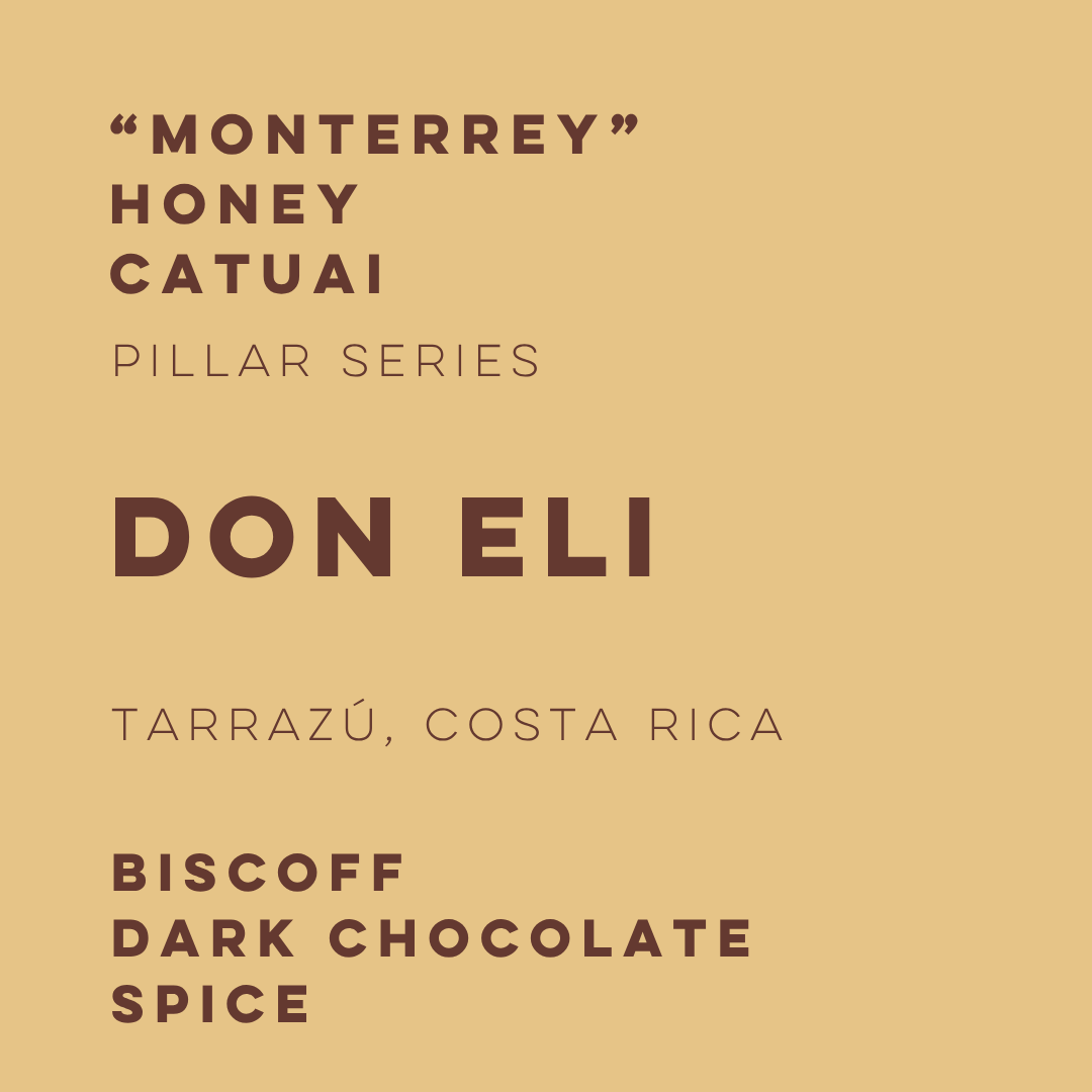 Don Eli Honey Catuai - Pillars Series - ELI-01