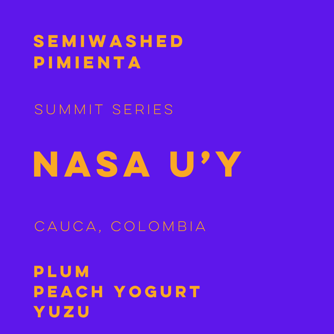 NUY-02 - Summit Series