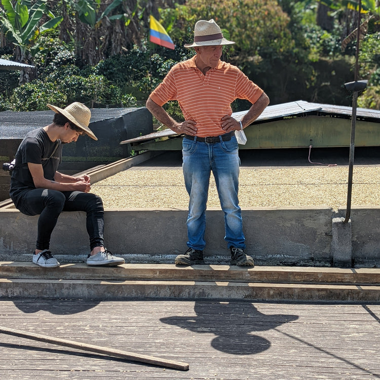 Disruptiva Natural Anaerobic Costa Rica 95 - Peaks Series - Lulo Coffee