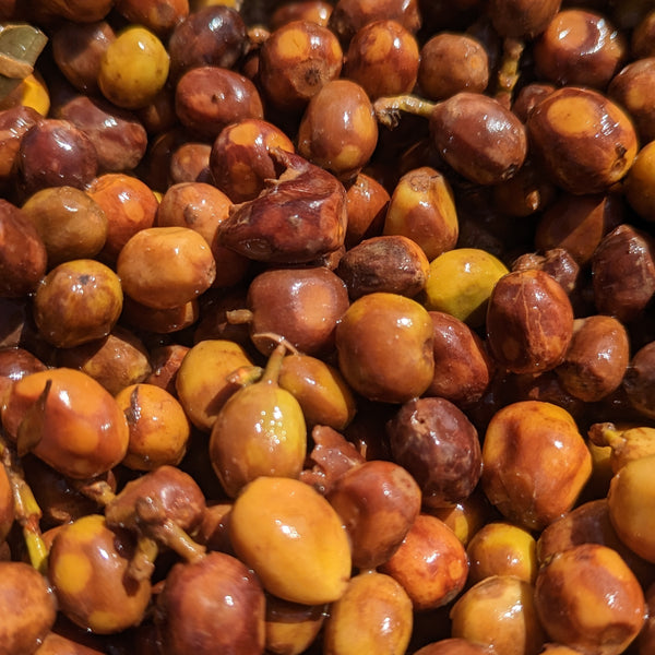 Disruptiva Washed Two-Stage Ferment Castillo - Peaks Series - Lulo Coffee