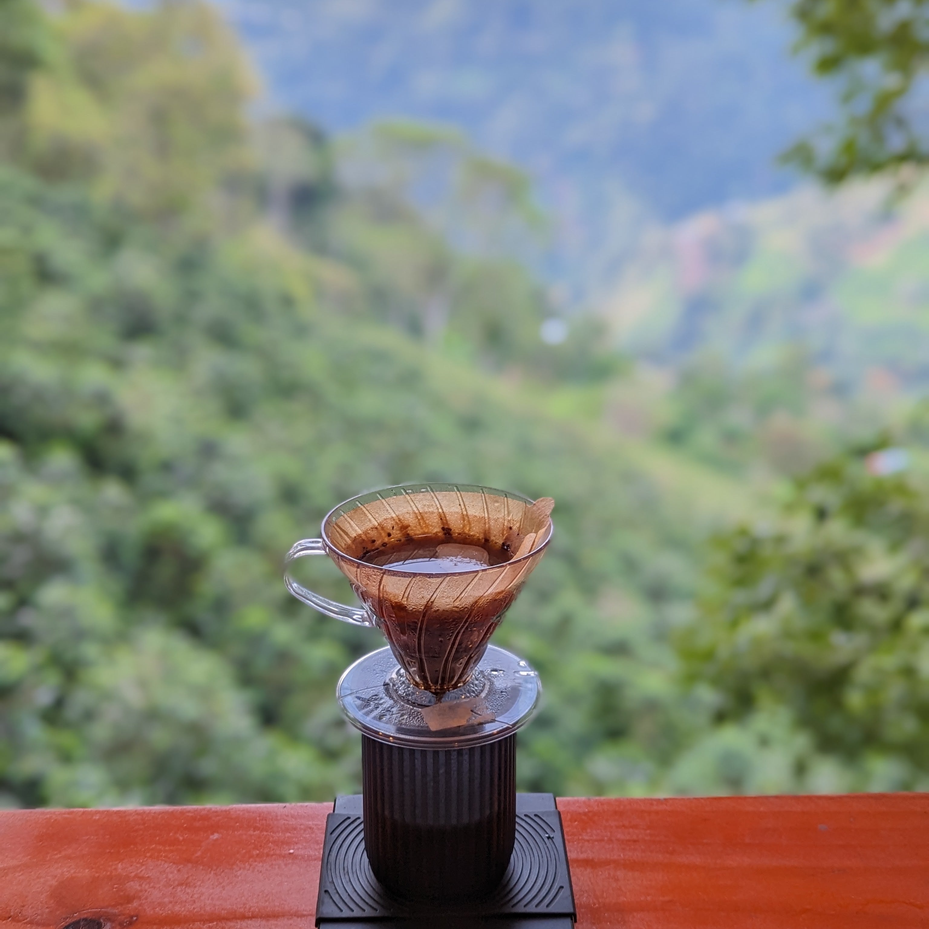 Finca Alcatraz Natural Pink Bourbon - Summit Series - Lulo Coffee