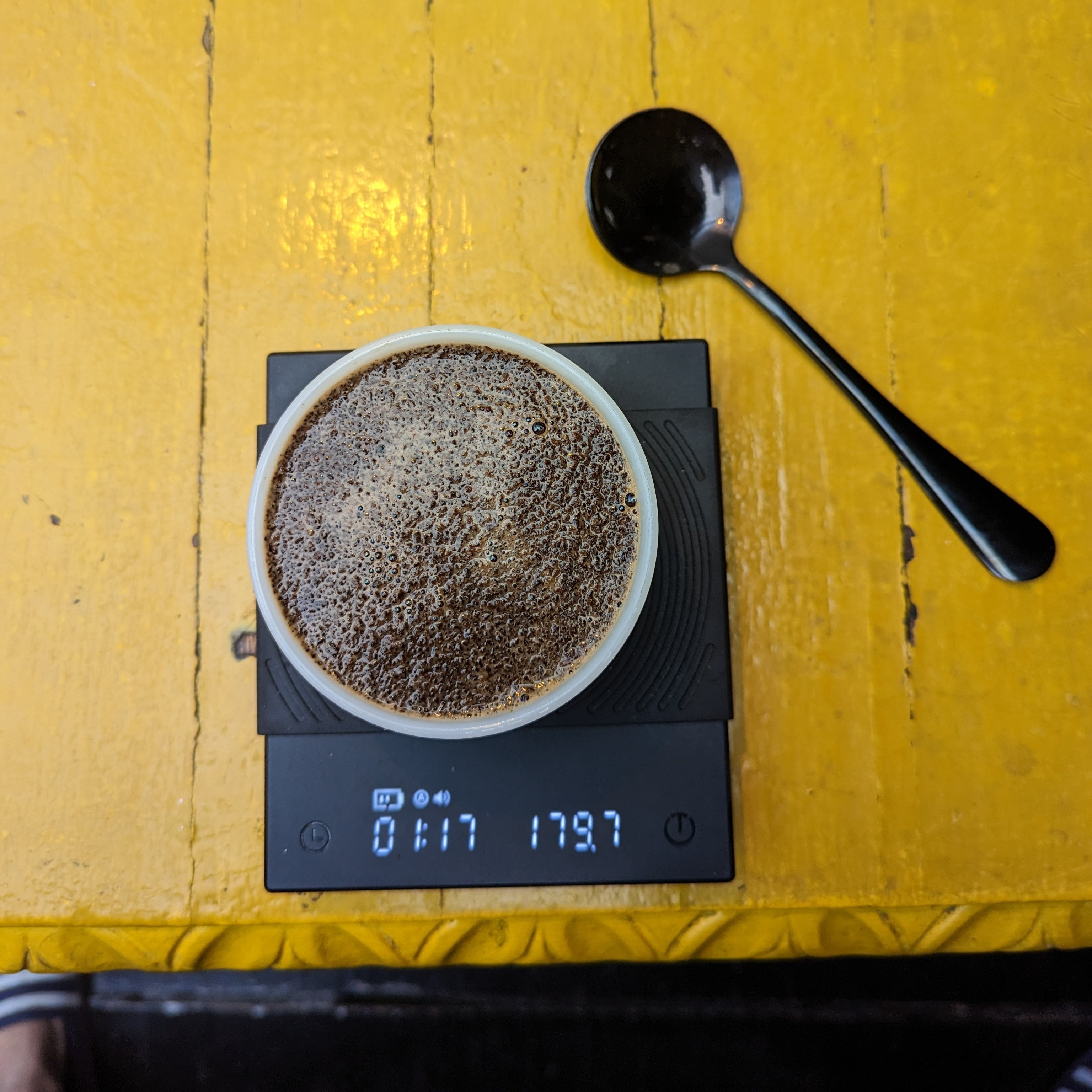 Finca Alcatraz Natural Gesha - Summit Series - Lulo Coffee