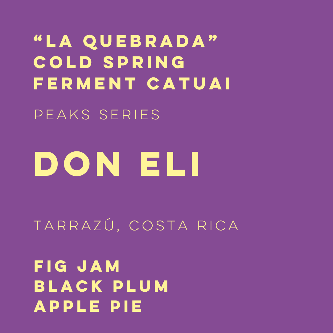 Don Eli Cold Spring Ferment Catuai "La Quebrada" - Peaks Series - ELI-04 - Lulo Coffee