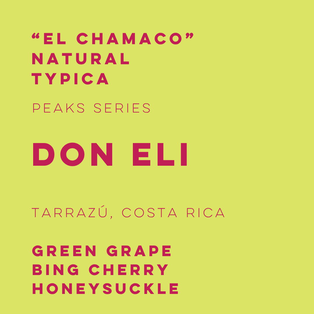 Don Eli Natural Typica "El Chamaco" - Summit Series - ELI-03 - Lulo Coffee