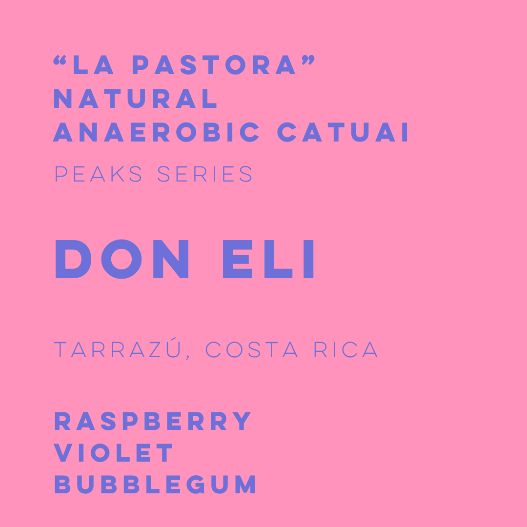 Don Eli Natural Anaerobic Catuai - Peaks Series - ELI-02 - Lulo Coffee