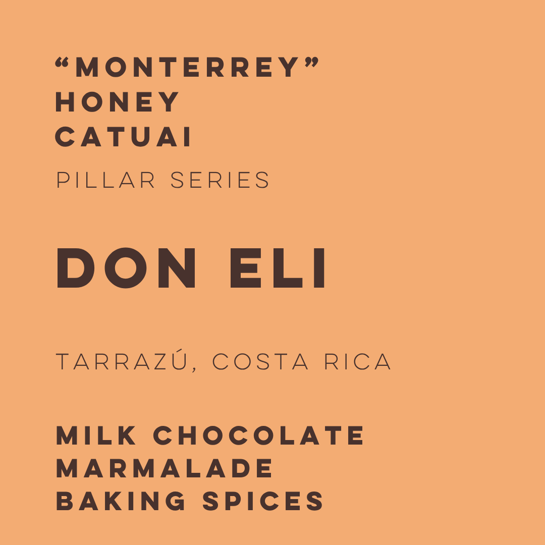 Don Eli Honey Catuai - Pillars Series - ELI-01 - Lulo Coffee
