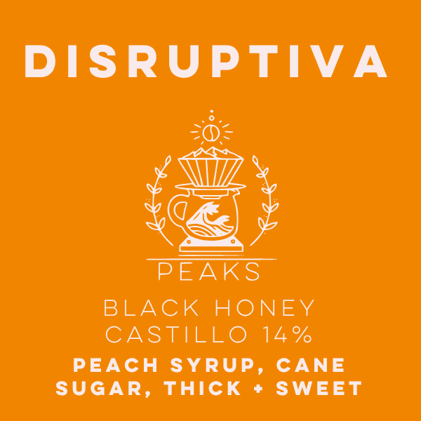 Disruptiva Black Honey Castillo 14% - Peaks Series - Subscriber-Only - Lulo Coffee