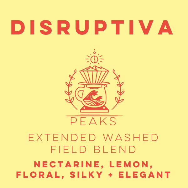 Disruptiva Extended Washed Field Blend - Peaks Series - Subscriber-Only - Lulo Coffee