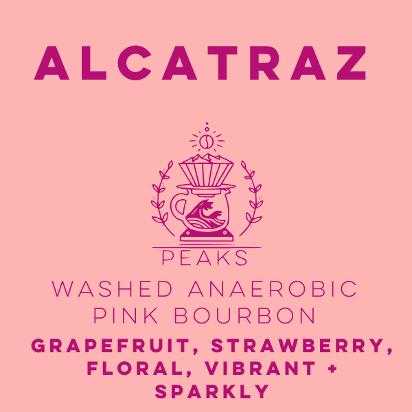 Finca Alcatraz Washed Anaerobic Pink Bourbon - Peaks Series - Lulo Coffee