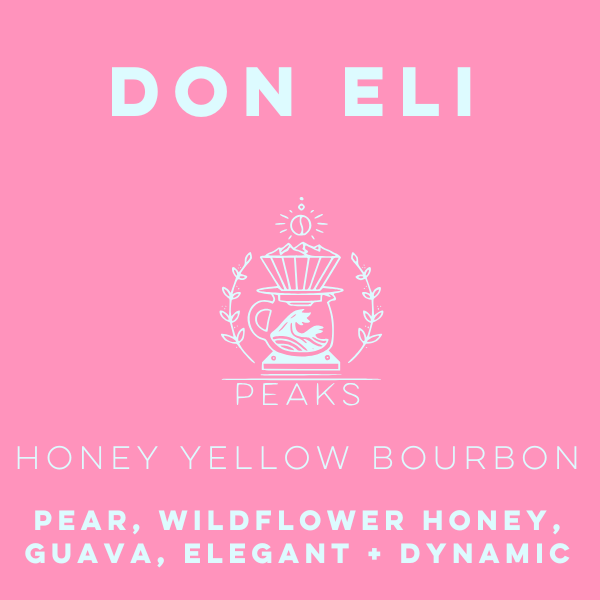 Don Eli Honey Yellow Bourbon - El Manzanal - Peaks Series - Lulo Coffee