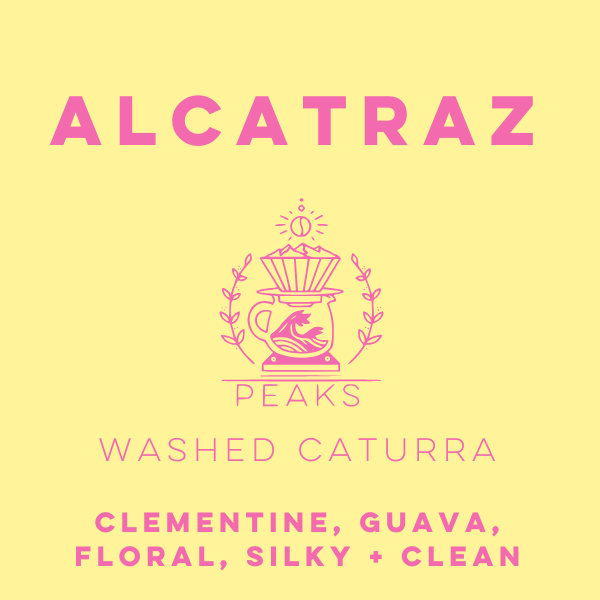 Finca Alcatraz Washed Caturra - Peaks Series - Lulo Coffee