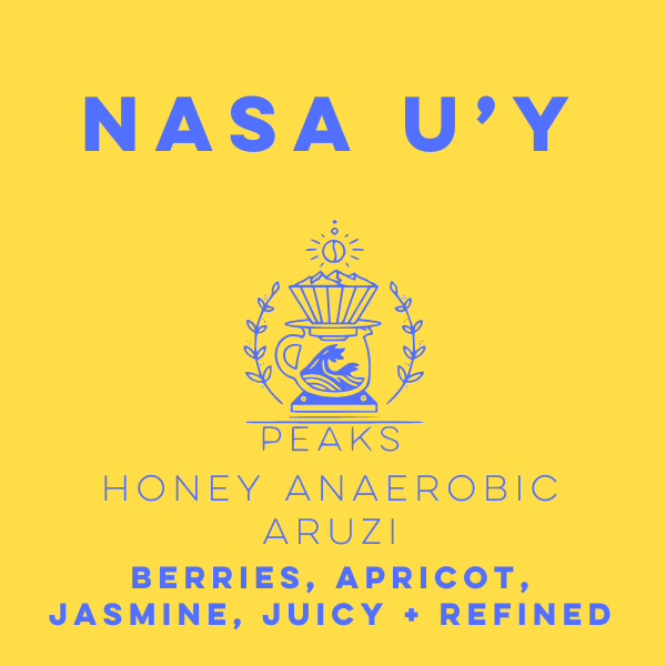 Nasa U'Y Honey Anaerobic Aruzi - Peaks Series - Lulo Coffee