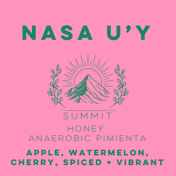 Nasa U'Y Honey Anaerobic Pimienta - Summit Series - Lulo Coffee