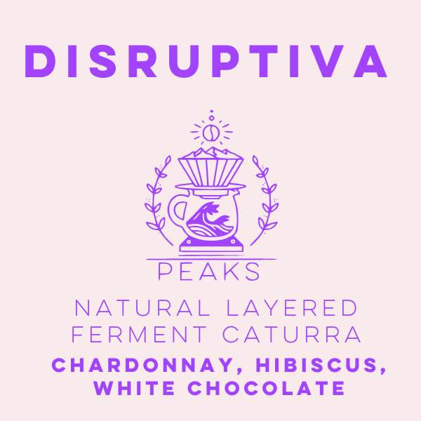 Disruptiva Natural Layered Ferment Caturra - Peaks Series - Lulo Coffee