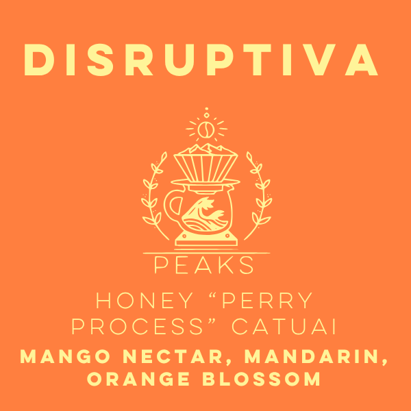 Disruptiva Honey "Perry Process" Catuai - Peaks Series - Lulo Coffee