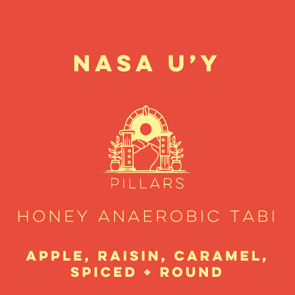 Nasa U'Y Honey Anaerobic Tabi - Pillars Series