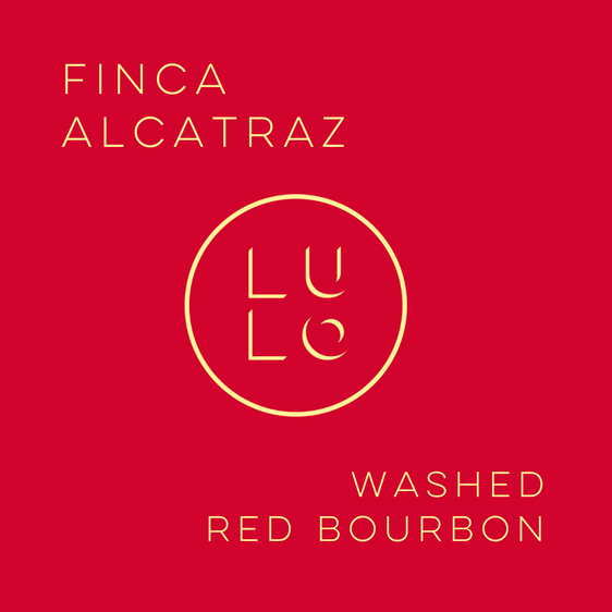 Finca Alcatraz Washed Red Bourbon - Peaks Series