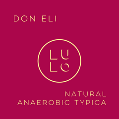 Don Eli Natural Anaerobic Typica - Peaks Series